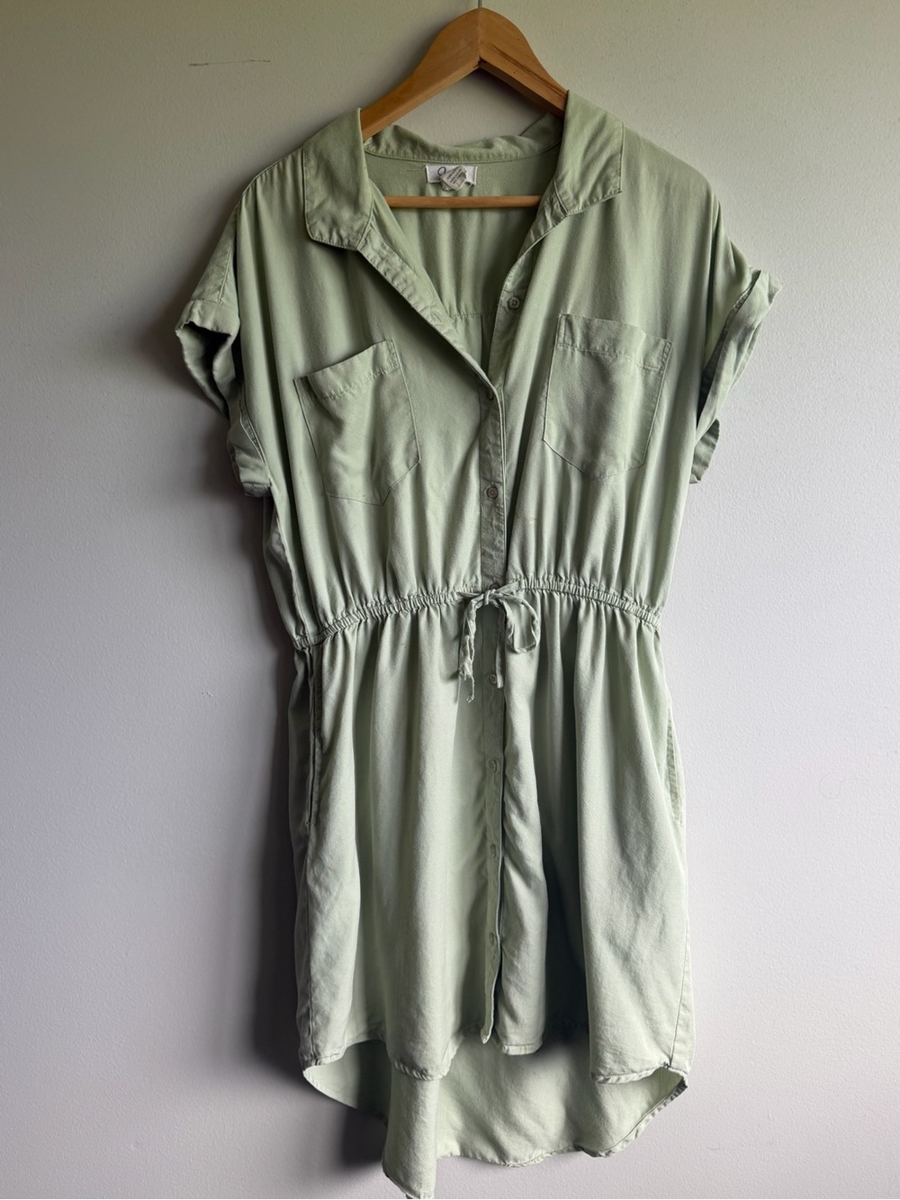 Japna Sage Green Casual Dress